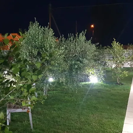 Sea 게스트하우스