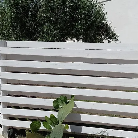 Sea 토레 라필로