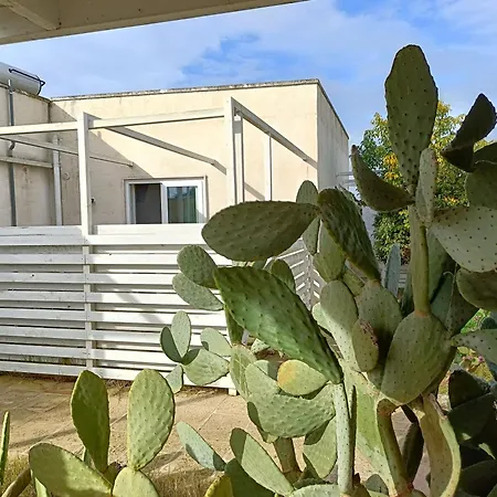 Sea Guest house Torre Lapillo