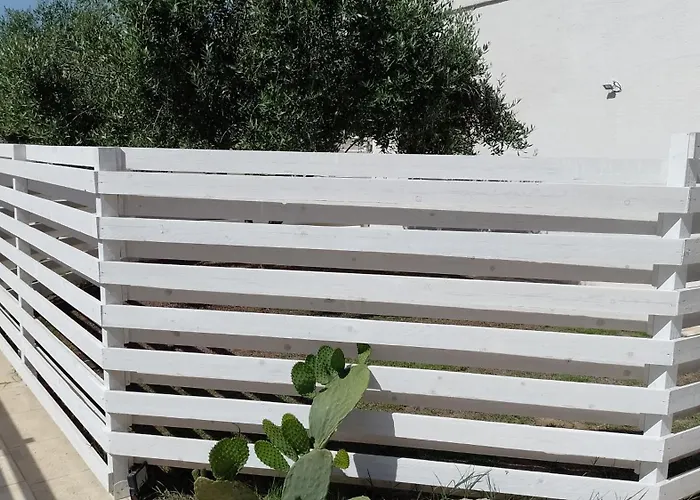 Sea 토레 라필로